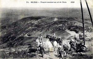 Blida - Col de Chrea - Troupes montantes - 1918